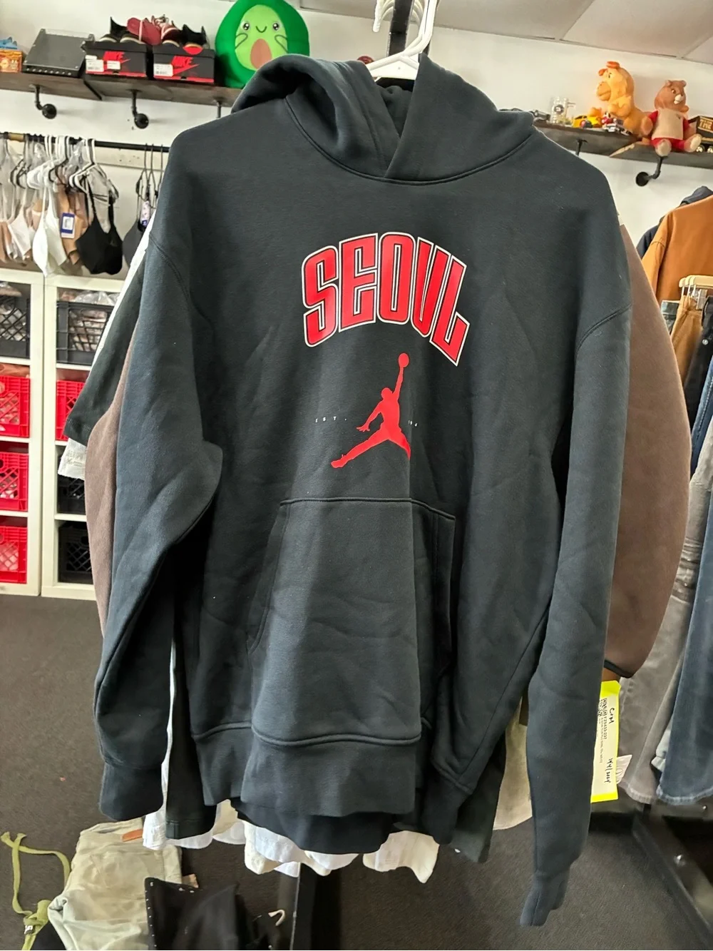 Nike Air Jordan Fleece Hoodi Hq0428-010 Bnwt Only Korea Seoul Edtition Xl SZ Med